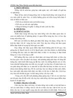 SKKN dạy tiếng việt theo quan điểm thực hành