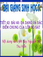 tiết 42: Đa dạng và đặc điểm chung của lớp bò sát