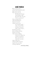 Thơ về tác phẩm Chí Phèo