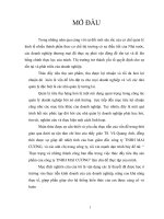 MỘT SỐ BIỆN PHÁP NHẰM PHÁT TRIỂN MỞ RỘNG THỊ TRƯỜNG CÔNG TY MAY 19 /5