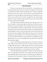 Một số giải pháp nhằm nâng cao hiệu quả hoạt động tiêu thụ sản phẩm tại Công ty Trách nhiệm hữu hạn thương mại Duy Tân 