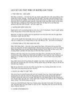 LỊCH SỬ PHÁT MINH VÀ CÁC GIAI THOẠI