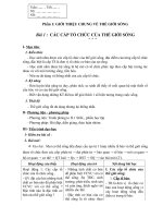 Giáo án 10 nâng cao đầy đủ - cực hay không phải sửa