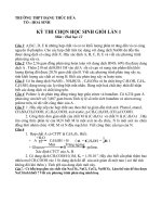 Đề thi học sinh giỏi trường