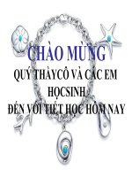 Biểu đồ - Giáo án powerpoint