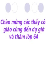 câu trần thuật đơn có từ 
