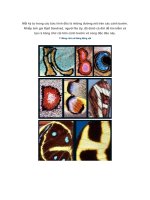 Bảng chữ cái trên cánh bướm