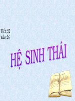 HỆ SINH THAI