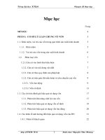 Tình hình quản lý và hiệu quả sử dụng vốn tại Công ty cổ phần xây dựng và phát triển công trình hạ tầng