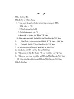 Thực trạng quá trình thu hút FDI của Nhật Bản vào Việt Nam