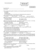 ĐỀ THI LÀM TỪ PHÒNG THI TUỔI TRẺ