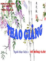 Tiết 26: Bánh trôi nước