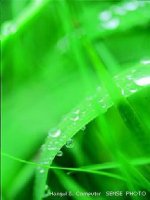 Ôn tập chương II