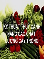 THỦY CANH PP