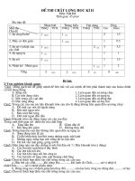 Đề KT HK II (MT + ĐA) Vật lí 6