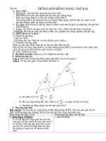 Truong hop dong dang thu hai(GA HG Tinh)