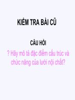 Tiết 17 (giáo án thao giảng)