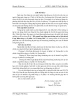 Đẩy mạnh hoạt động marketing mix tại chi nhánh Long Biên-công ty cổ phần ô tô Trường Hải