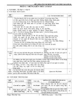 TTổng kết ngữ văn THCS