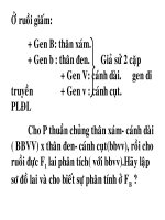 BÀI : LIÊN KẾT GEN