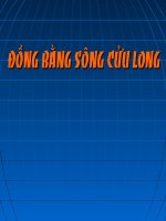 Đồng bằng sông Cửu Long
