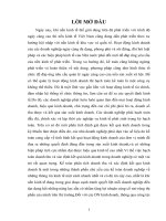 Xác định kết quả kinh doanh tại công ty TNHH thương mại và XNK tổng hợp Ánh Dương