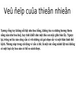 vẻ đẹp thiên nhiên