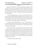 Nâng cao hiệu quả khai thác và chế biến quặng tại công ty Cổ phần xây dựng và thương mại  Hoàng Trường Anh