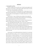 Phân tích và đánh giá mức độ thoả mãn của khách hàng khi đi mua hàng  tại siêu thị Hà Nội