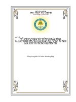Tổ chức công tác kế toán bán hàng và xác định kết quả kinh doanh tại công ty TNHH sản xuất và thương mại Tiên Tiến