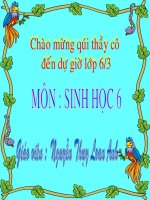 BAI 45 : NGUỒN GỐC CÂY TRỒNG