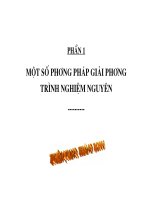 Phương trình nghiệm nguyên (giành cho HS khá, giỏi)
