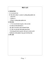 SKKN - Su dung loi binh trong gio doc hieu van ban