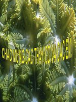 Trung Quốc thời phong kiến