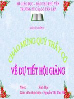 thuyet tien hoa thay sach 12 2009