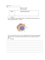 Kiểm tra 15p bài 18-19CB