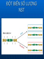 đột biến số lượng NST