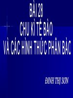 bài 28: chu kì tế bào