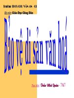 Bao ve di san van hoa