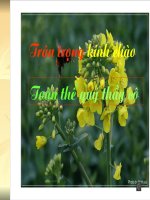 Bài Viếng lăng Bác