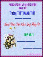 Hồi trống cổ Thành