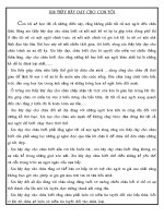 Xin thầy hãy dạy cho con tôi