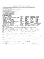 E 12 UNIT 12 TRANSITIVE