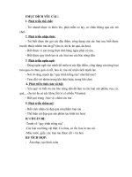 làm quen các loại rau