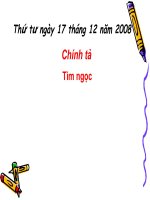 chinh ta Tim ngoc lop 2