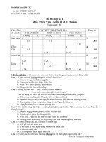 Đề kiểm tra lớp 11 chương trình chuẩn, phân ban