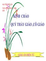 ÔN TẬP CHƯƠNG TAM GIÁC ĐỒNG DẠNG