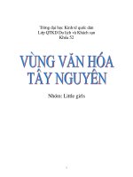Vùng văn hóa Tây Nguyên