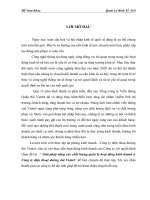 Giải pháp nâng cao chất lượng quản lý hoạt động kinh doanh ở Công ty điện thoại đường dài Viettel