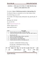 Một số giải pháp nhằm nâng cao năng lực cạnh tranh của công ty TNHH thương mại dịch vụ tổng hợp Dũng Yến